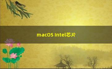 macOS Intel芯片
